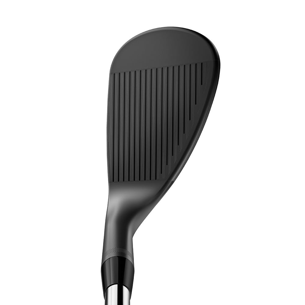 Titleist - 日本未発売　VOKEY　SM10　ノーメッキ　DG-S200　52F・58M Titleist Vokey SM10 Jet Black Custom Wedge | Fairway Jockey